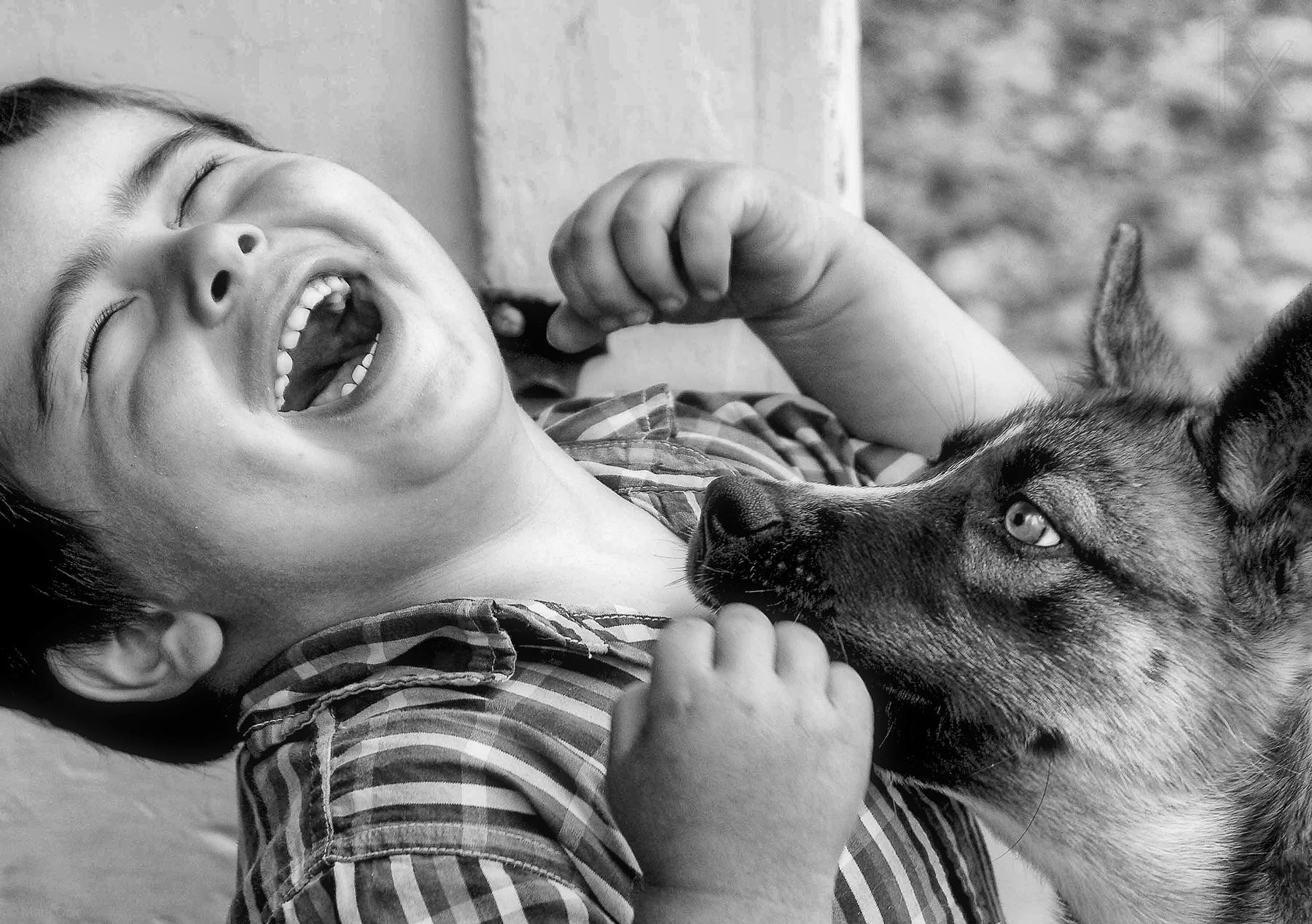 Эмоции присущи как людям так и животным. Собака для детей. Животные и дети смеются. Для детей. Животные. Собака радость к человеку.
